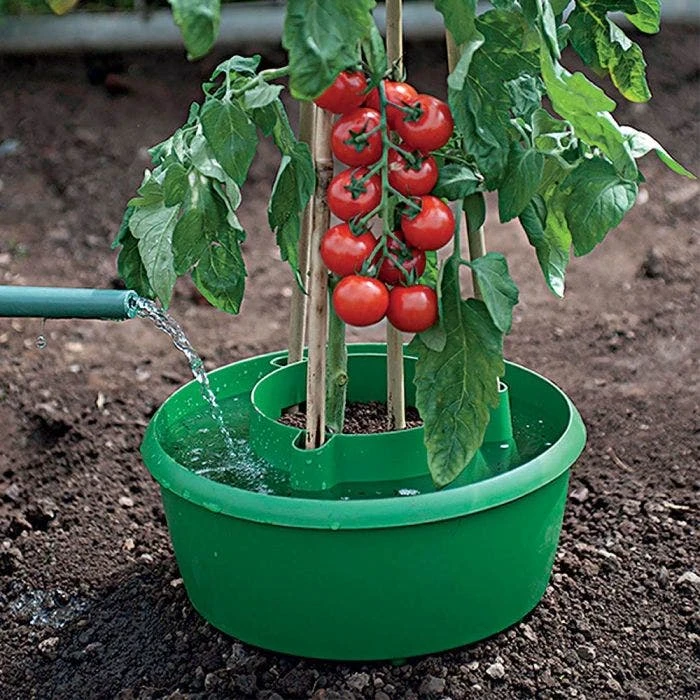 Green Plant Halos 3pk 5 Green Plant Halos 3pk - Image 3