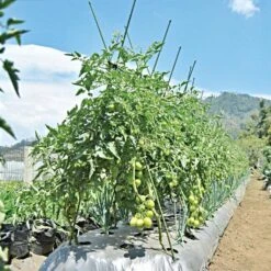 Knotty Takiron Green Steel Stakes, 3/8 X 4 Bundle Of 10 -Gardeners Edge Sales 84tsk 5