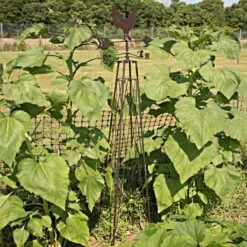 Rooster Weathervane Obelisk -Gardeners Edge Sales 86806 3