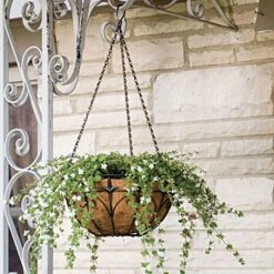 Fleur De Lis Metal Hanging Basket With Coco Liner And Chain 14in Diameter -Gardeners Edge Sales 88512 2