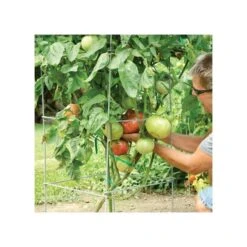 Super-Sturdy Professional Folding Tomato Cage, 60in X 18in -Gardeners Edge Sales 89713 2