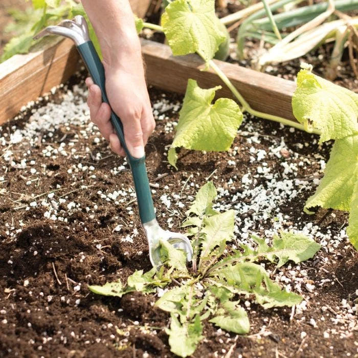 Trake Combination Trowel And Rake Garden Tool 8 Trake Combination Trowel And Rake Garden Tool - Image 6