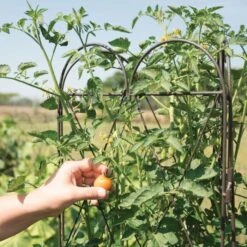 Rustic Heirloom 3-Panel Pea Trellis -Gardeners Edge Sales 90130 5