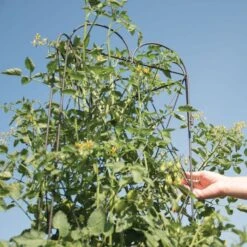 Rustic Heirloom 3-Panel Pea Trellis -Gardeners Edge Sales 90130 6