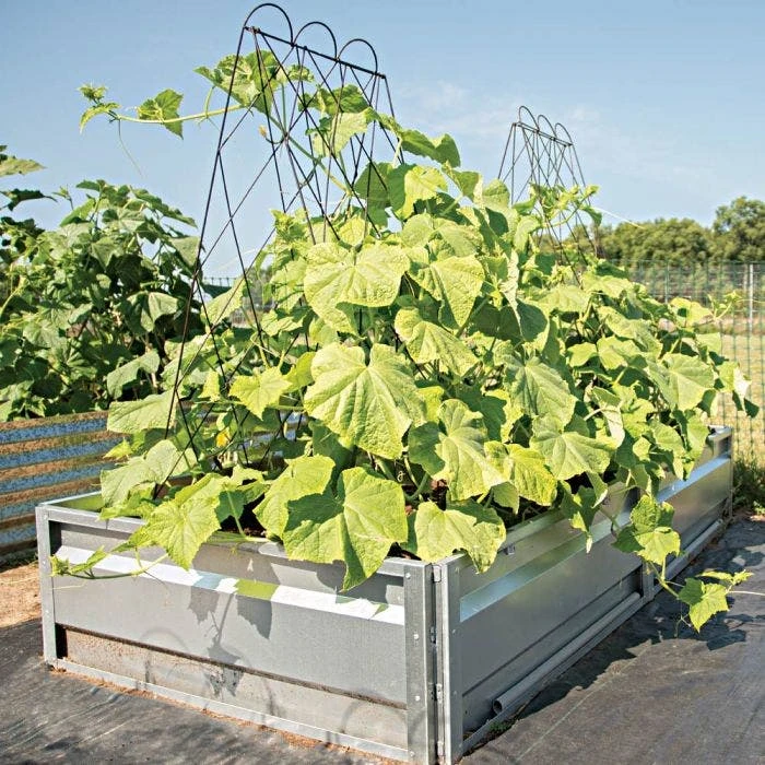 Rustic Heirloom A Frame 6 Rustic Heirloom A Frame - Image 4