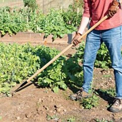 Leonard Cape Cod Weeder With 60 Wood Handle -Gardeners Edge Sales acw60 2