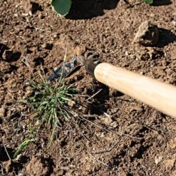 Leonard Cape Cod Weeder With 60 Wood Handle -Gardeners Edge Sales acw60 3