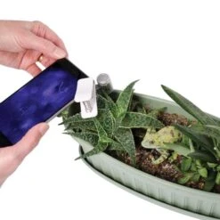 Active Eye Universal Mobile Phone Microscope -Gardeners Edge Sales aem60c 5