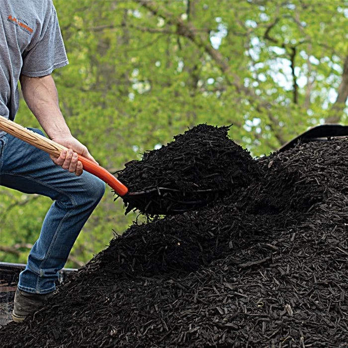 Leonard 10-Tine Forged Steel Scoop Fork With 48-Inch Straight Handle 8 Leonard 10-Tine Forged Steel Scoop Fork With 48-Inch Straight Handle - Image 6