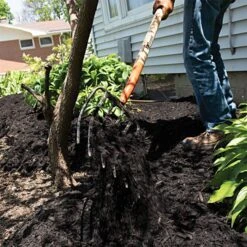 Leonard 6-Tine Forged Steel Manure Fork, 54-inch Straight Handle -Gardeners Edge Sales amf6 5 1