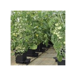 AutoPot 4-Pot Watering System -Gardeners Edge Sales apws001 2