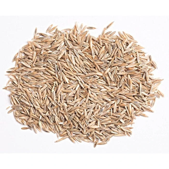 Turf Type Tall Fescue 25 Lb Bag 4 Turf Type Tall Fescue 25 Lb Bag - Image 2