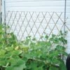 Natural Bamboo Expandable Trellis -Gardeners Edge Sales bat4 9