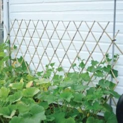 Natural Bamboo Expandable Trellis