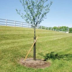 Rigid Plastic Mesh Tree Guard By A.M. Leonard, 4in Diameter X 36in Length, 5ct Bundle -Gardeners Edge Sales bg36 2