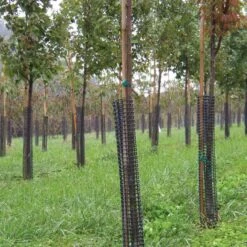 Rigid Plastic Mesh Tree Guard By A.M. Leonard, 4in Diameter X 36in Length, 5ct Bundle -Gardeners Edge Sales bg36 3