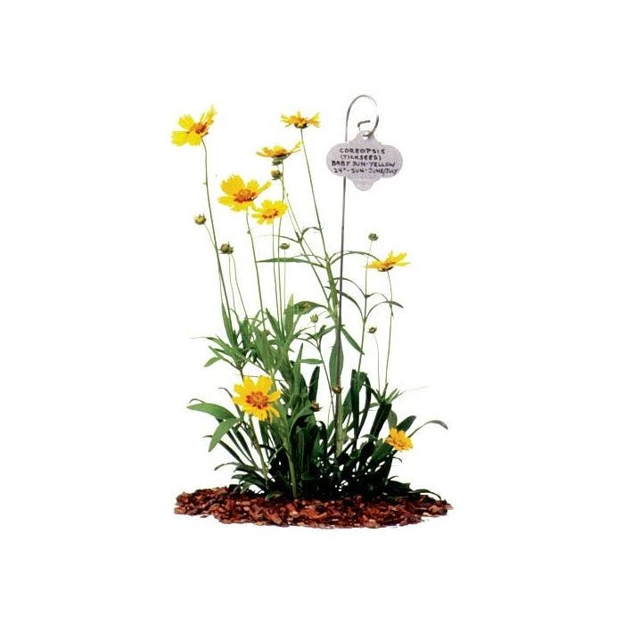 Stainless Steel Garden Marker Stake With Tag, 3.5in X 2ft, 6-Pack 6 Stainless Steel Garden Marker Stake With Tag, 3.5in X 2ft, 6-Pack - Image 4