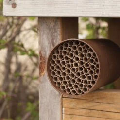 Orchard Mason Bee 52 Tube Nesting Kit -Gardeners Edge Sales bp402 3