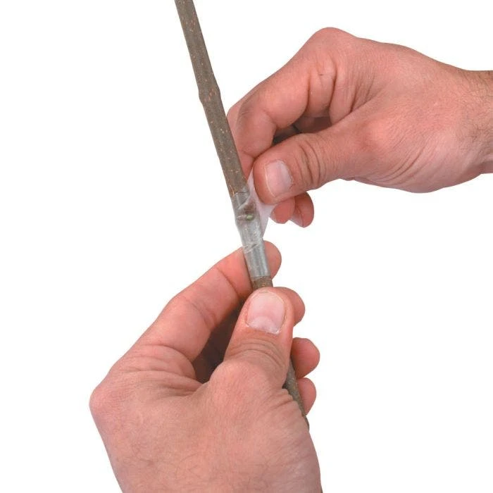 Perforated Budding Tape, Roll Of 857 Tape Strips 5 Perforated Budding Tape, Roll Of 857 Tape Strips - Image 3