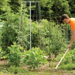 72in Tall Bean Tower -Gardeners Edge Sales bt72 2