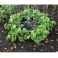 72in Tall Bean Tower -Gardeners Edge Sales bt72 4