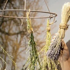 Herb Dryer 9 Herb Dryer -Gardeners Edge Sales c3000am 3