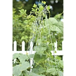Cucumber Plant Support Frame, 48-Inch Galvanized -Gardeners Edge Sales cc48 3