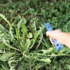 CobraHead Weeder And Cultivator, 13-inch Handle -Gardeners Edge Sales chead 3