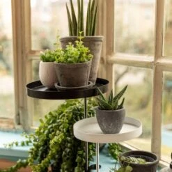 Window Dressing Plant Stand Clamps, 2 Pack -Gardeners Edge Sales clmt2