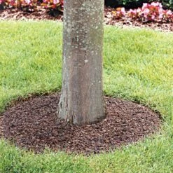 Rubberific® Tree Rings 24in, Red, Box Of 3 -Gardeners Edge Sales dctr24bn3 live 2