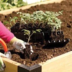 Deep Rootrainers System By Haxnicks -Gardeners Edge Sales drt900 4