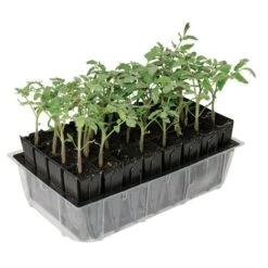 Deep Rootrainers System By Haxnicks -Gardeners Edge Sales drt900 5