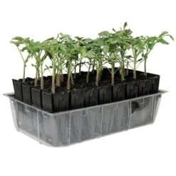 Deep Rootrainers System By Haxnicks -Gardeners Edge Sales drt900 6