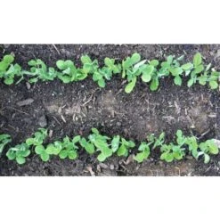 Gardinnovations Seed-In™ Soil Digger -Gardeners Edge Sales dscf3652