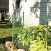 Deer-Terrent Netting Rolls, 330' X 60" -Gardeners Edge Sales dtrl lg