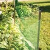 Deer-Terrent Netting Rolls, 330' X 18" -Gardeners Edge Sales dtrl sm 1