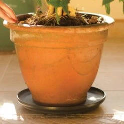 Down Under Plant Turner, 12-inch Rotating Saucer -Gardeners Edge Sales dupt12 3