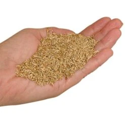 Fairlawn Blue And Rye Mix 25 Lb Bag 8 Fairlawn Blue And Rye Mix 25 Lb Bag -Gardeners Edge Sales fair25 2 1