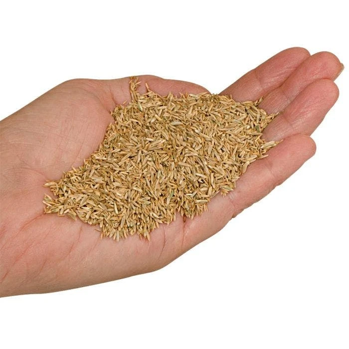 Fairlawn Blue And Rye Mix 25 Lb Bag 5 Fairlawn Blue And Rye Mix 25 Lb Bag - Image 3