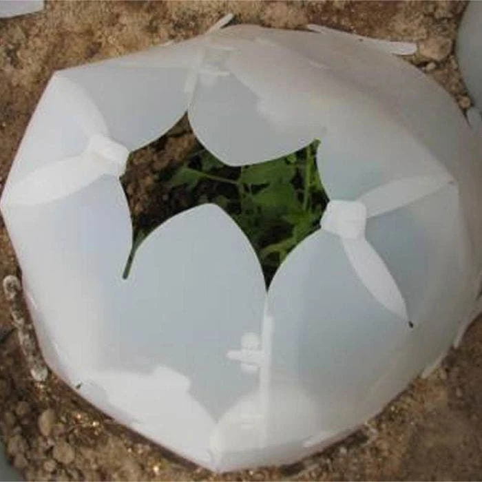 Grow It Now! Plant Protector, Small, 3-Pack 7 Grow It Now! Plant Protector, Small, 3-Pack - Image 5