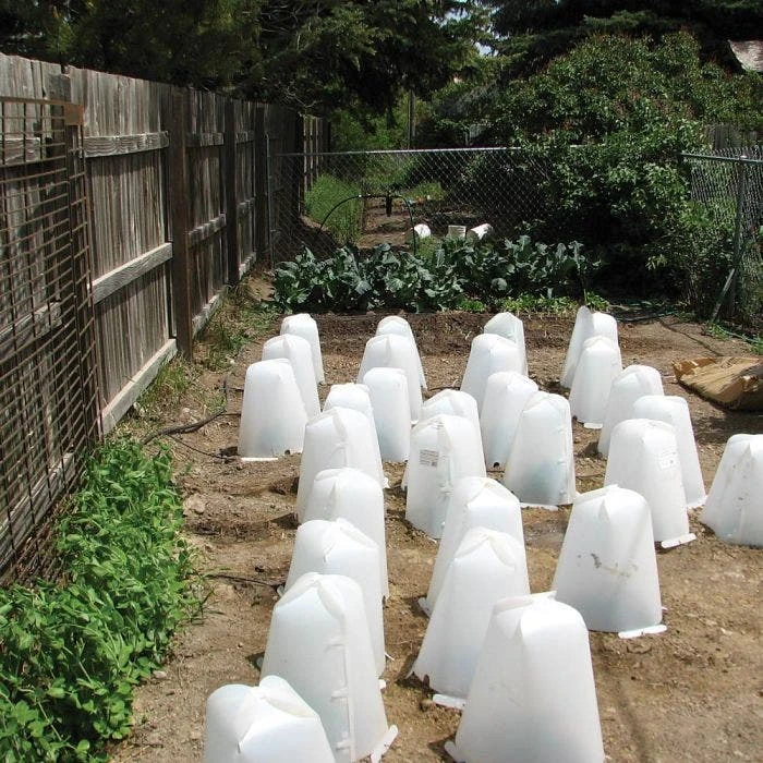 Grow It Now! Plant Protector, Small, 3-Pack 3 Grow It Now! Plant Protector, Small, 3-Pack