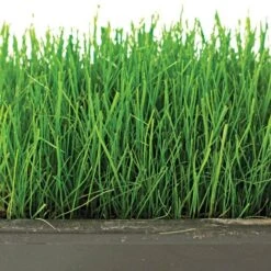 Fairlawn Shade Mix 25 Lb Bag -Gardeners Edge Sales flsh25 2 1