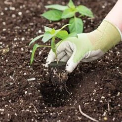 Grow Plugs 1400 Case -Gardeners Edge Sales fp1400 5