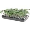 Nurture HydroFloat 55-Cell Seed Starting System -Gardeners Edge Sales fpst55