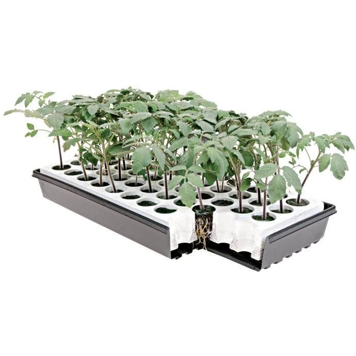 Nurture HydroFloat 55-Cell Seed Starting System 5 Nurture HydroFloat 55-Cell Seed Starting System - Image 3