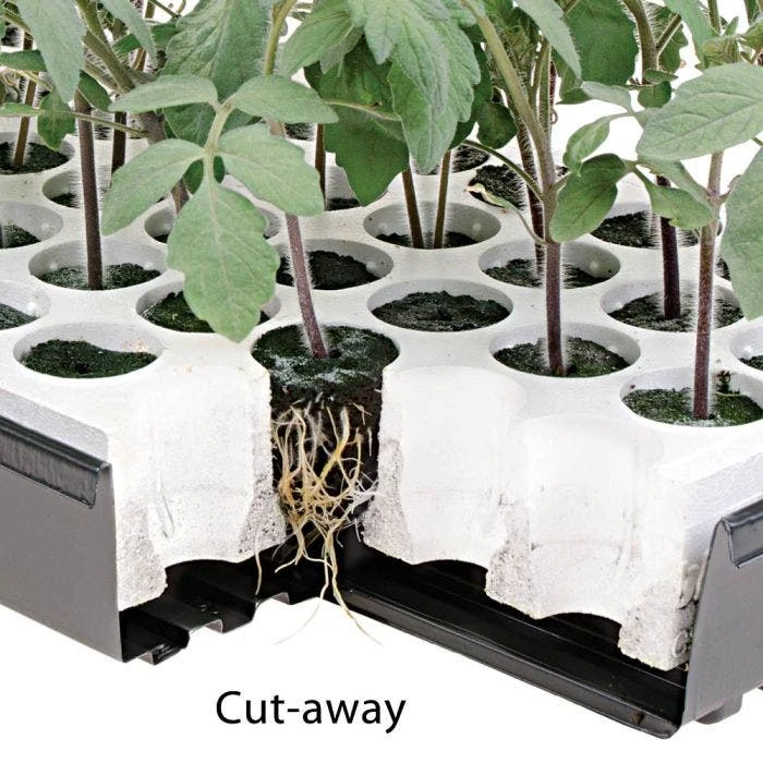 Nurture HydroFloat 55-Cell Seed Starting System 6 Nurture HydroFloat 55-Cell Seed Starting System - Image 4