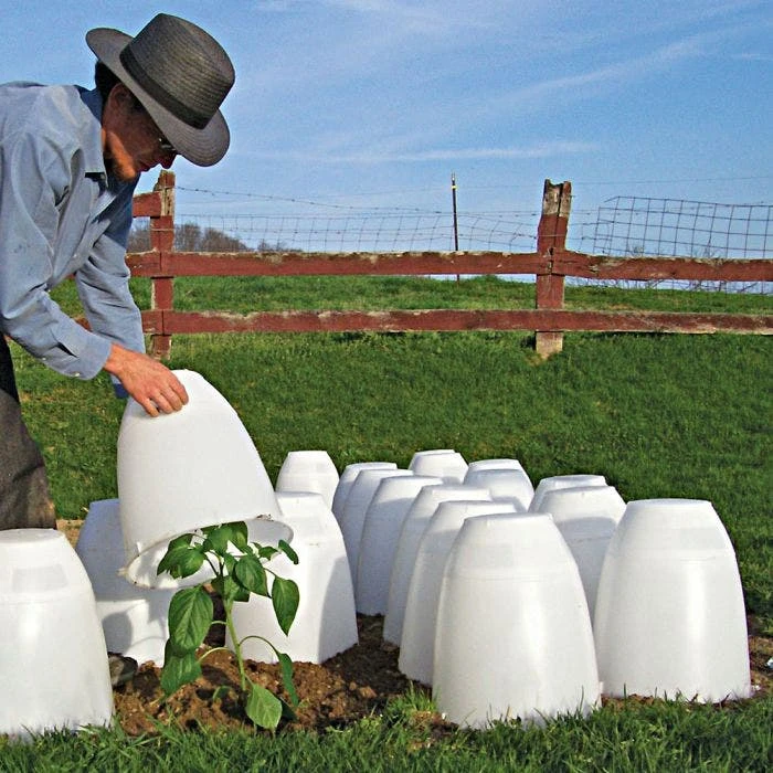 Frost Guard 9 Frost Guard - Image 7