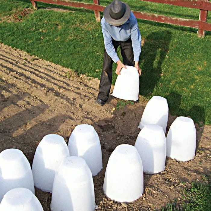 Frost Guard 10 Frost Guard - Image 8