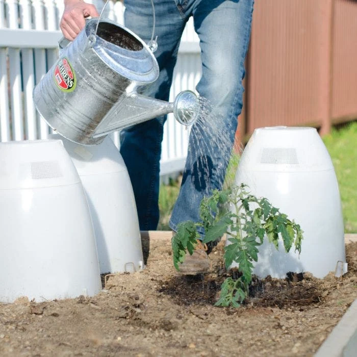 Frost Guard 12 Frost Guard - Image 10