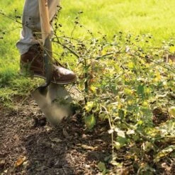 Leonard Forged Round Point Shovel With 48in Ash Handle -Gardeners Edge Sales fw4 3